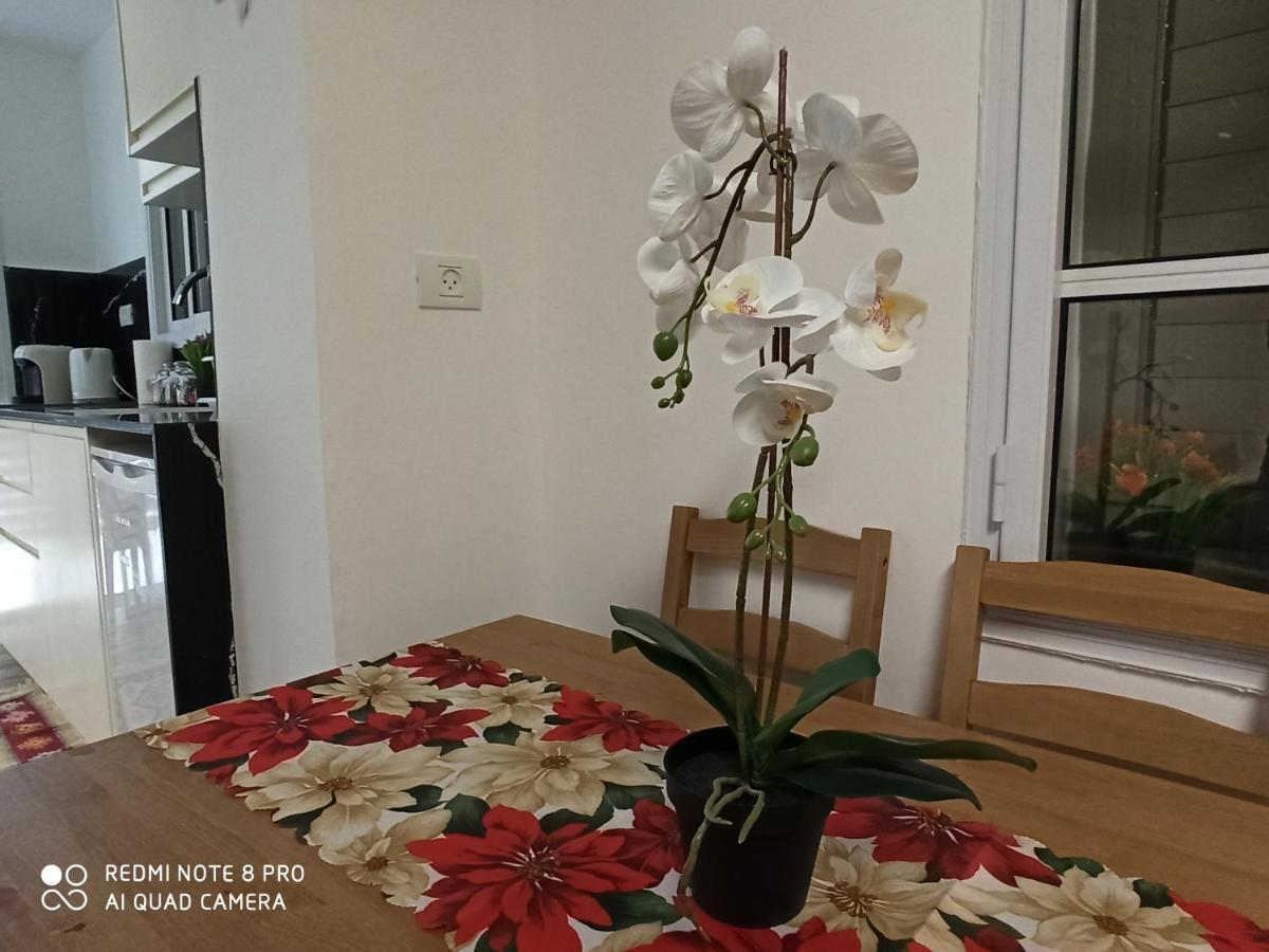 Boutique 22 Guest Rooms Haifa Eksteriør bilde